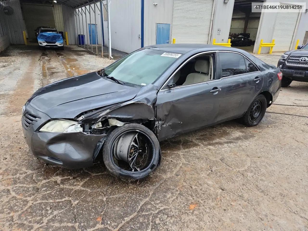 4T1BE46K19U814251 2009 Toyota Camry Base