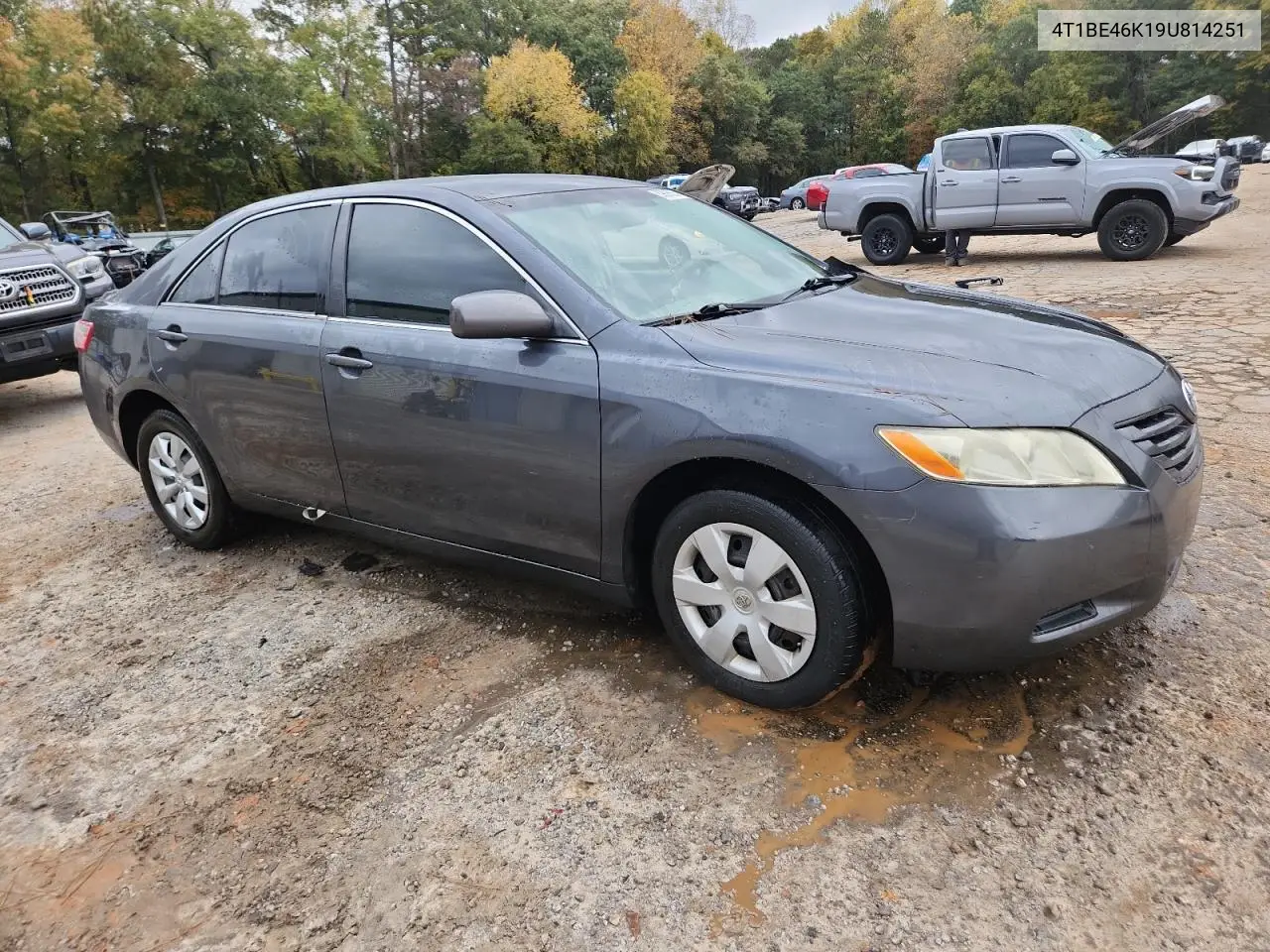 4T1BE46K19U814251 2009 Toyota Camry Base