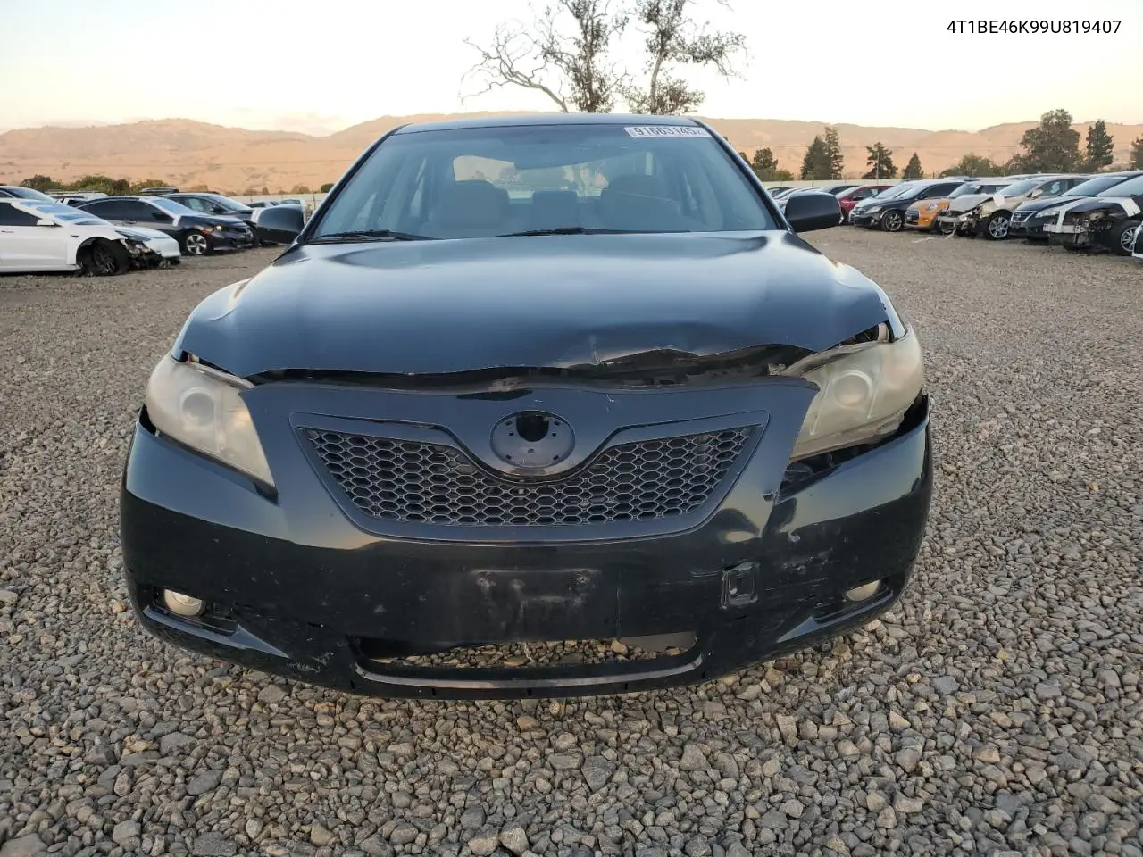 4T1BE46K99U819407 2009 Toyota Camry Base