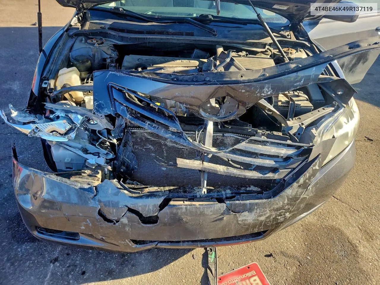 4T4BE46K49R137119 2009 Toyota Camry Base
