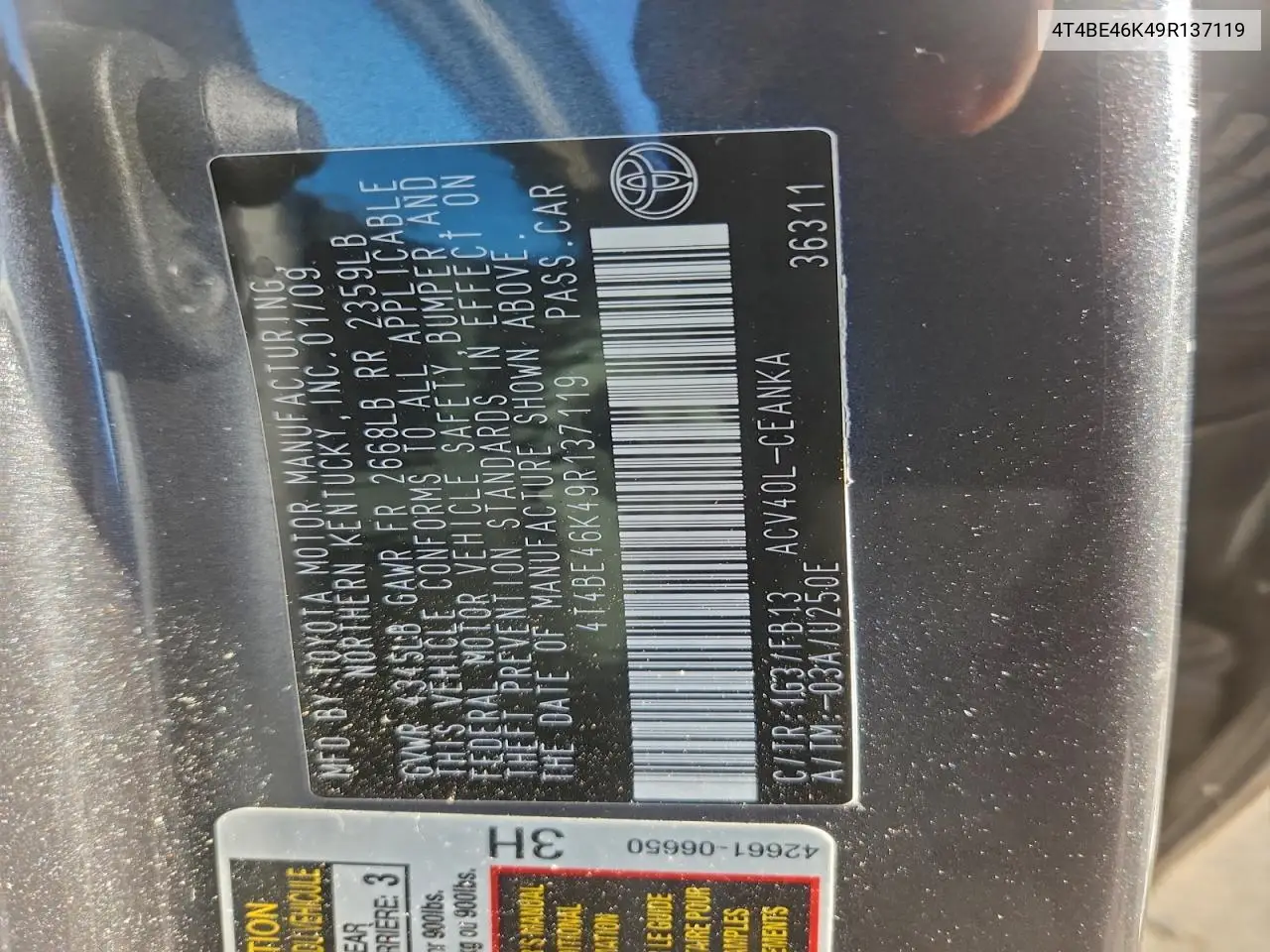 4T4BE46K49R137119 2009 Toyota Camry Base