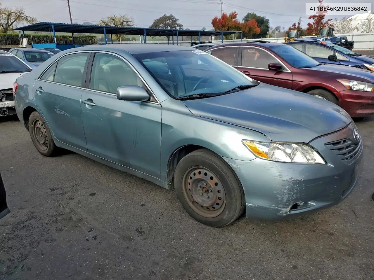 4T1BE46K29U836842 2009 Toyota Camry Base