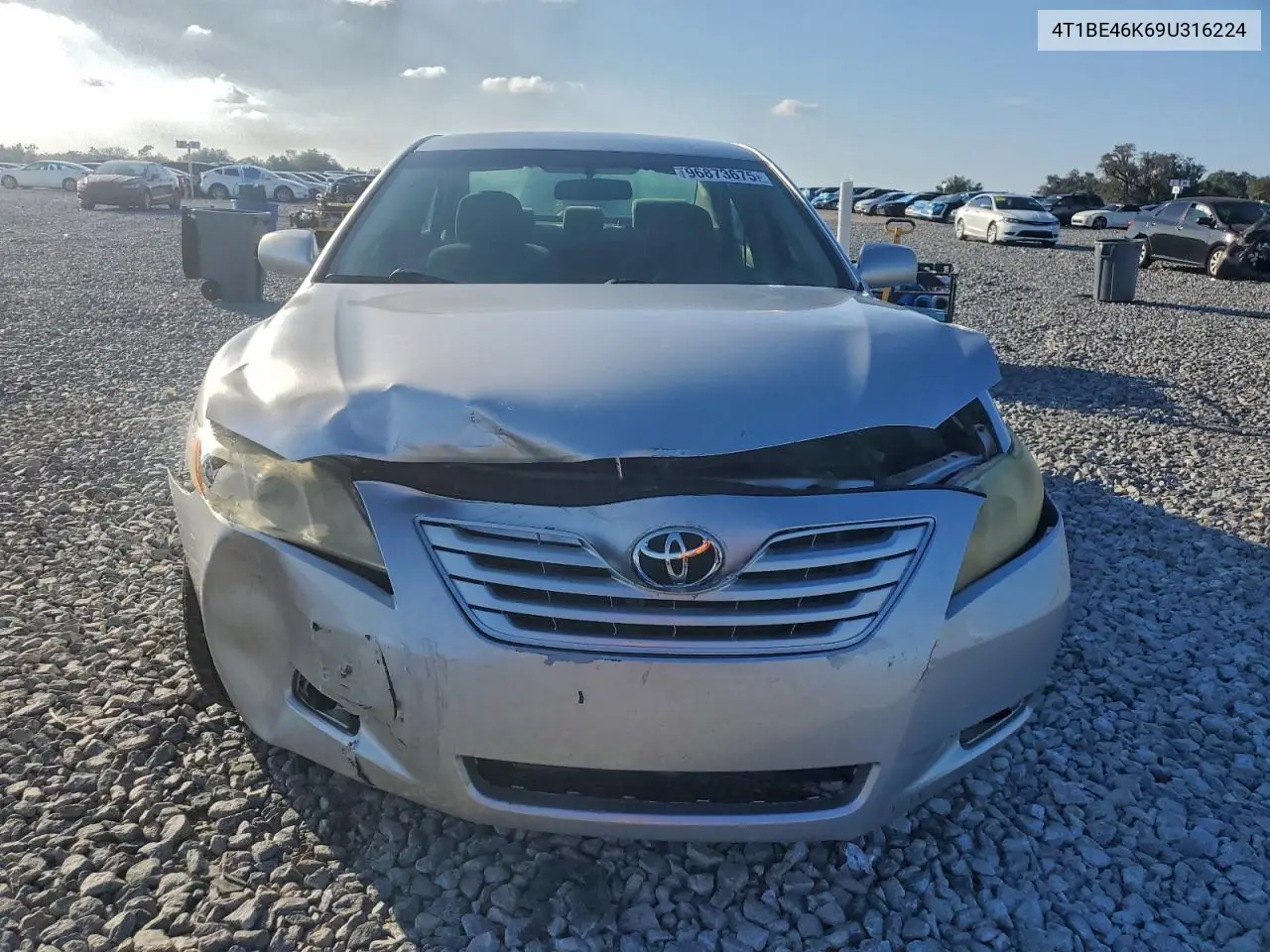 4T1BE46K69U316224 2009 Toyota Camry Base