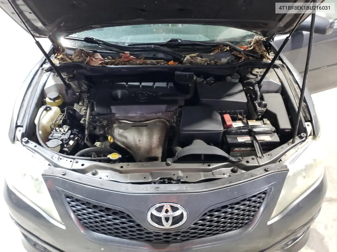 4T1BF3EK1BU216031 2011 Toyota Camry Base