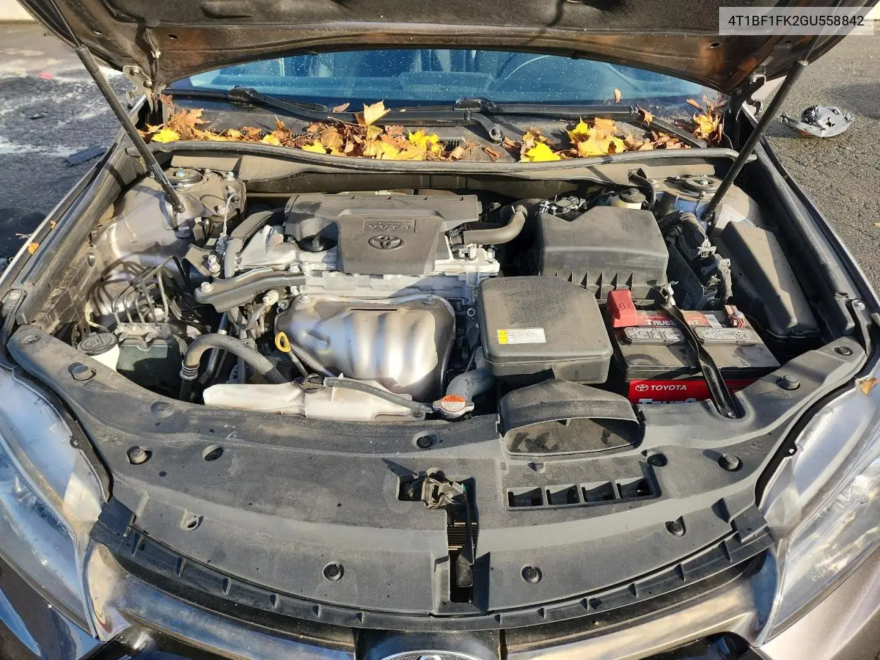 4T1BF1FK2GU558842 2016 Toyota Camry Le