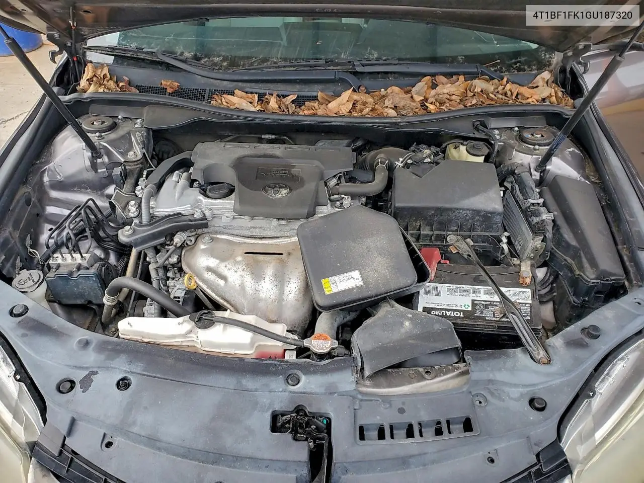 4T1BF1FK1GU187320 2016 Toyota Camry Le