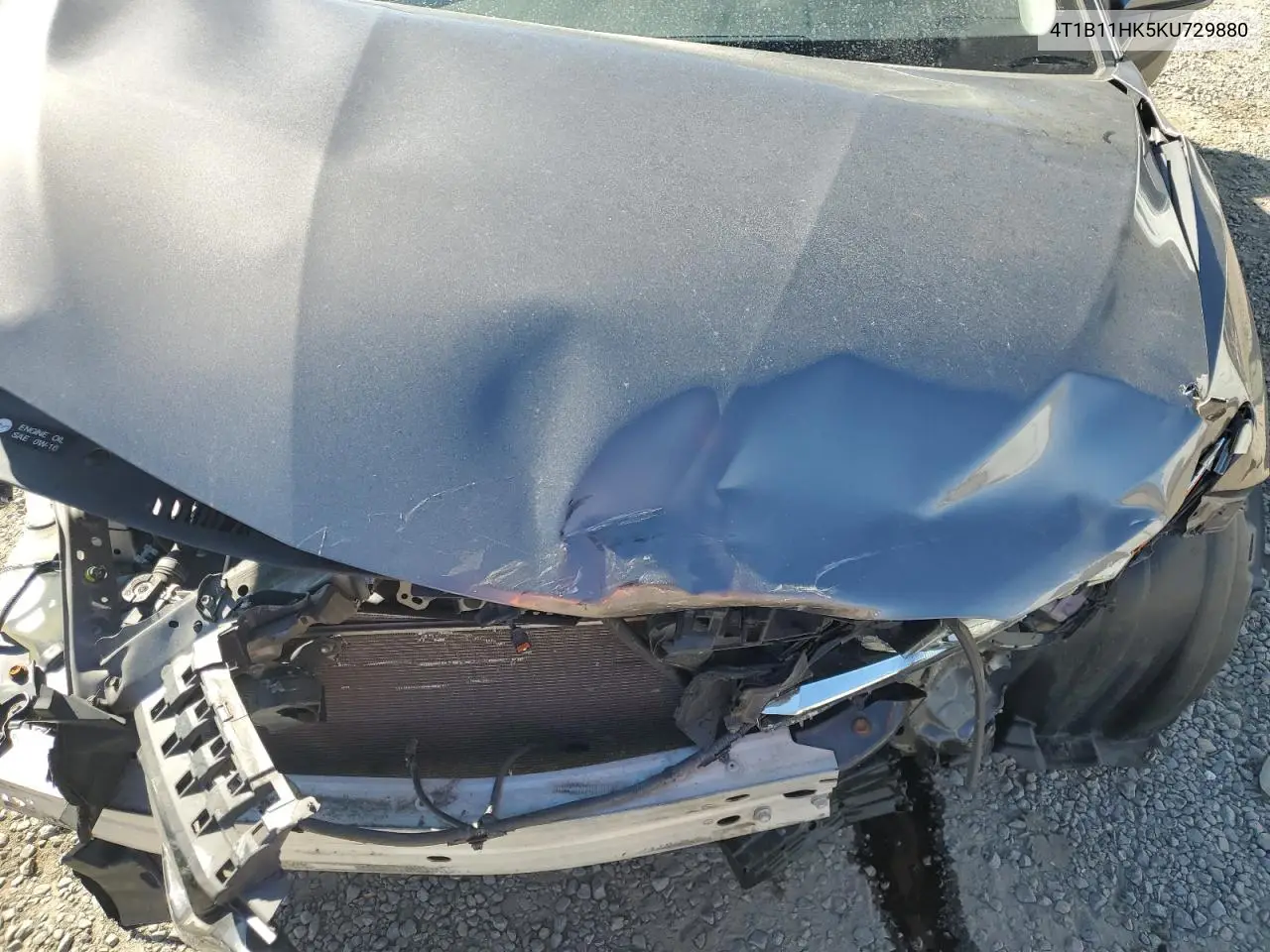 4T1B11HK5KU729880 2019 Toyota Camry L