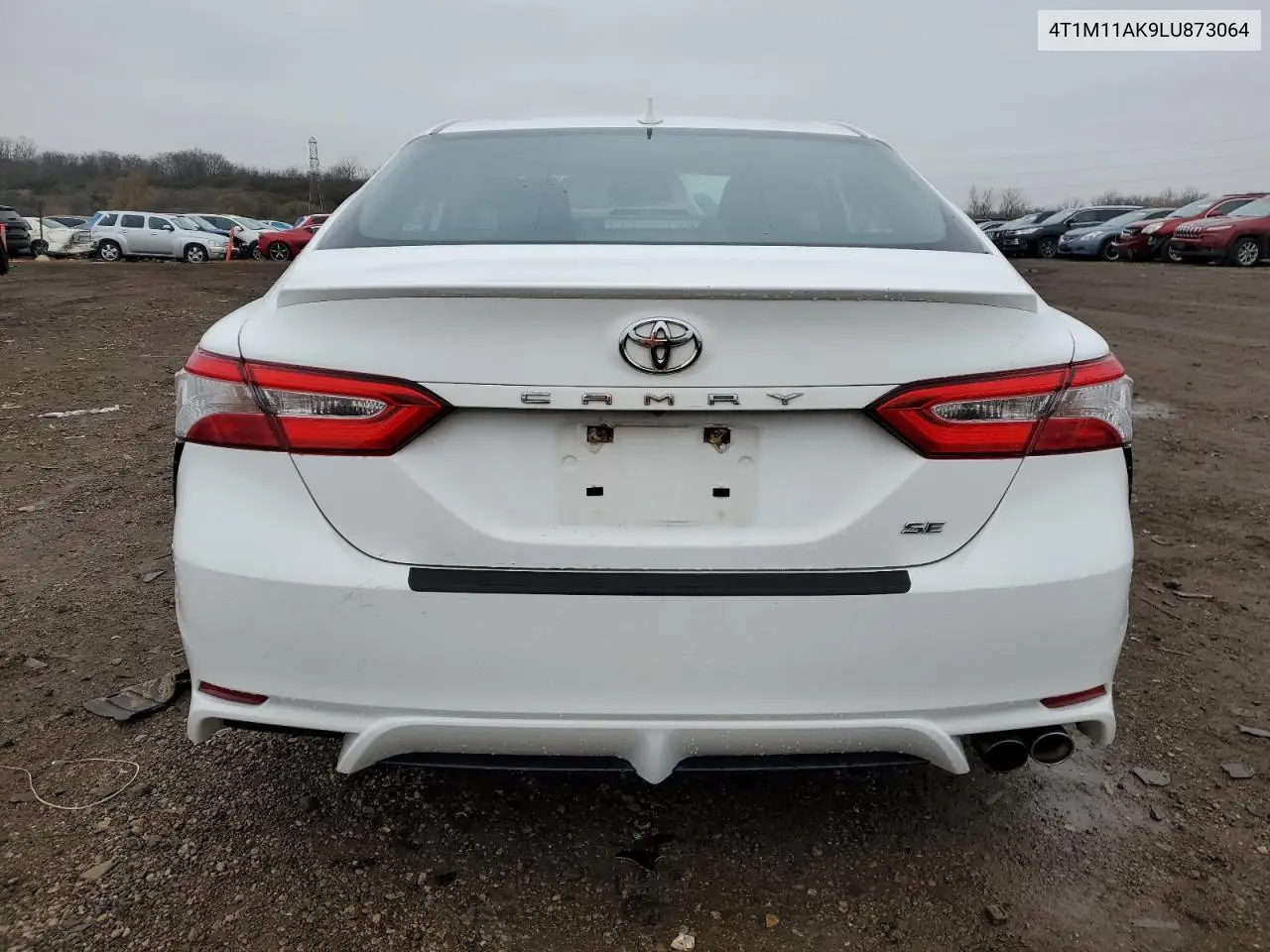 4T1M11AK9LU873064 2020 Toyota Camry Se