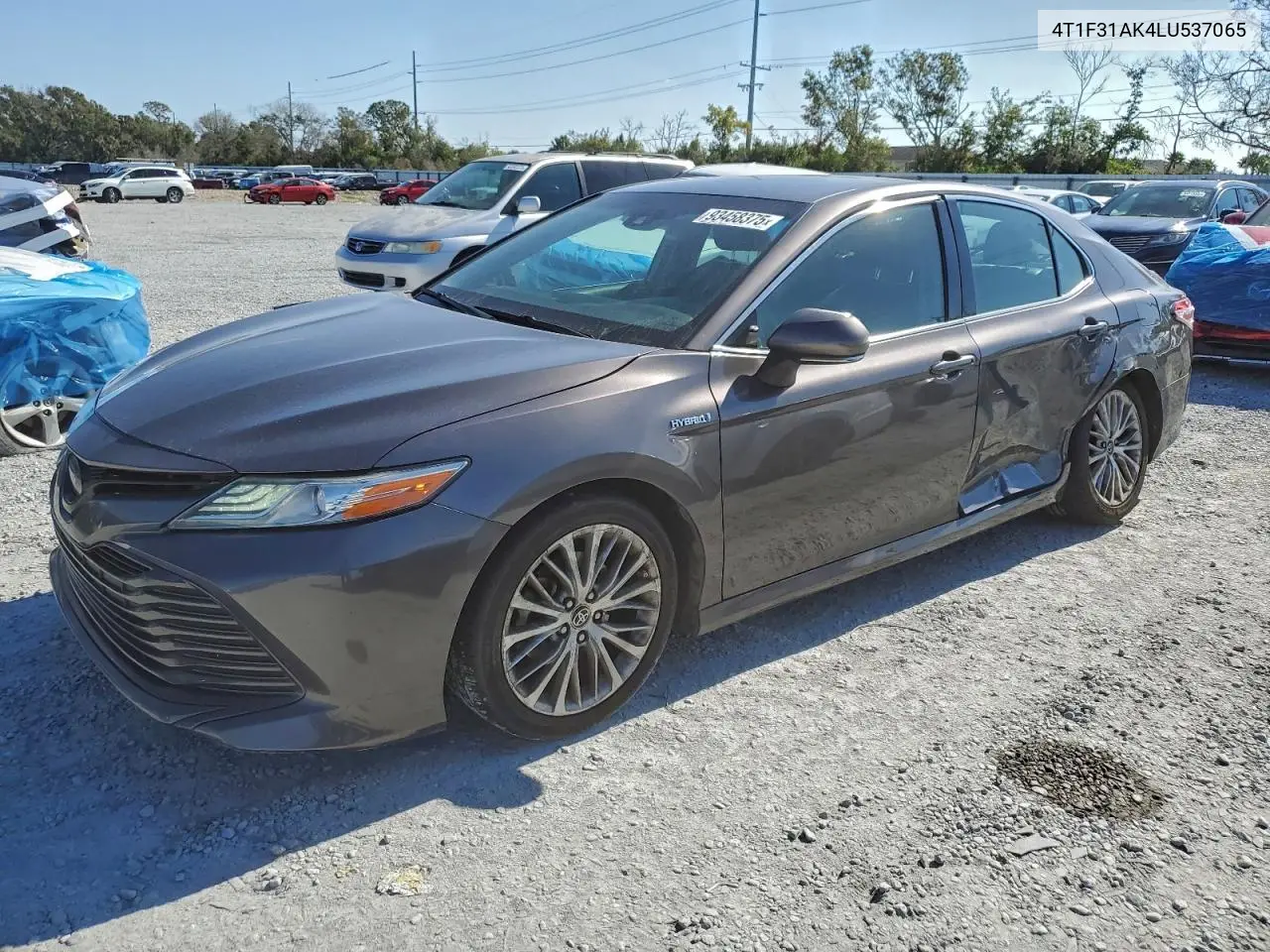 4T1F31AK4LU537065 2020 Toyota Camry Xle
