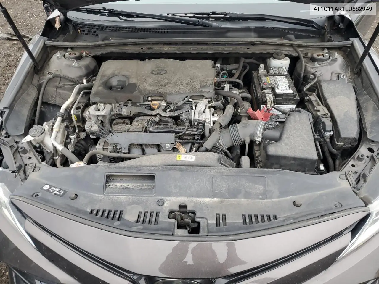 4T1C11AK1LU882949 2020 Toyota Camry Le