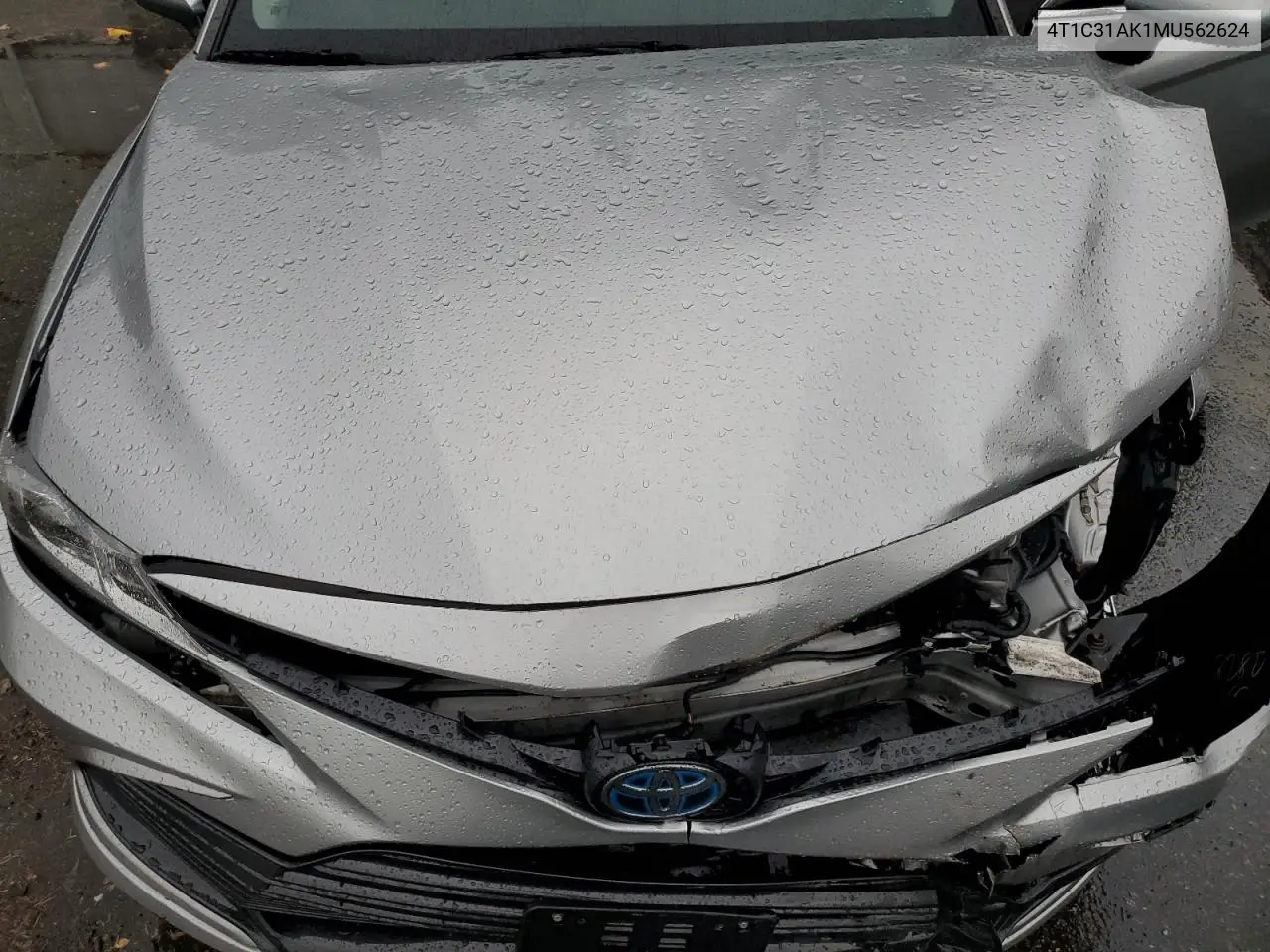 4T1C31AK1MU562624 2021 Toyota Camry Le