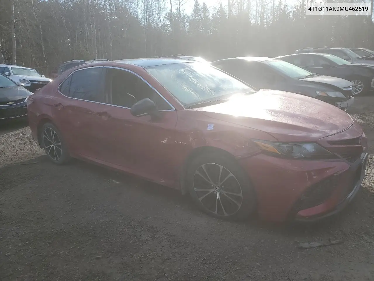 4T1G11AK9MU462519 2021 Toyota Camry Se