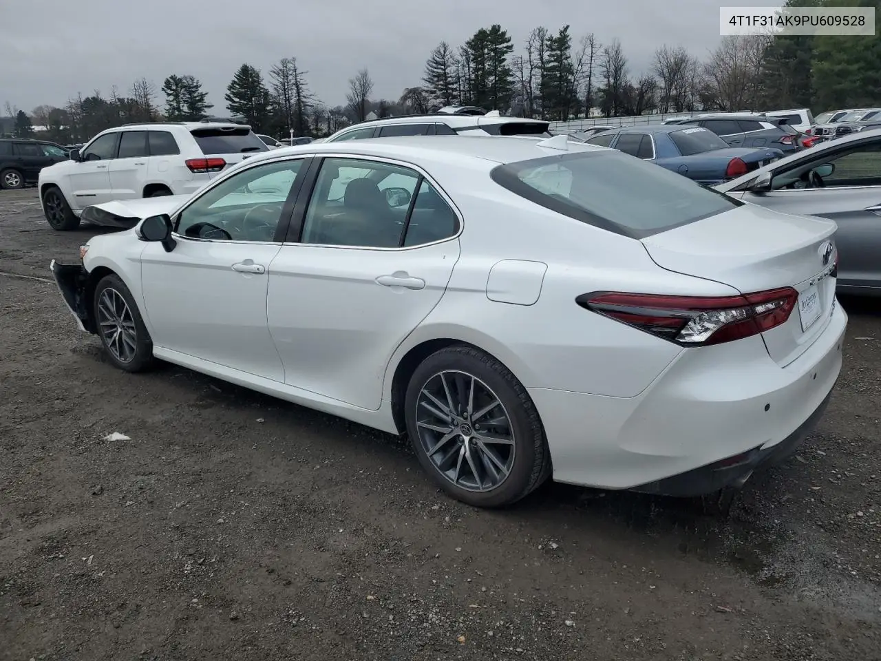 4T1F31AK9PU609528 2023 Toyota Camry Xle