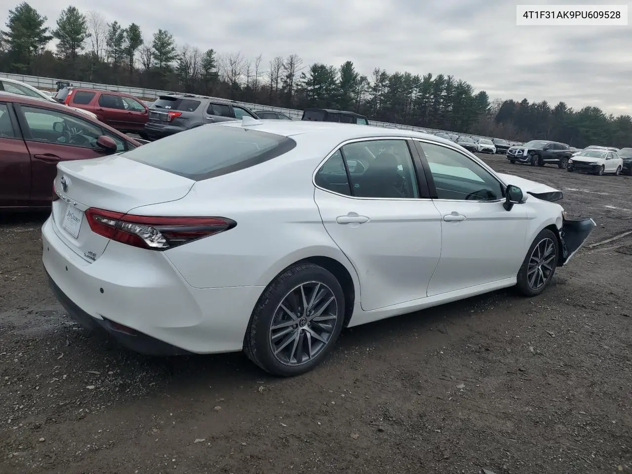 4T1F31AK9PU609528 2023 Toyota Camry Xle