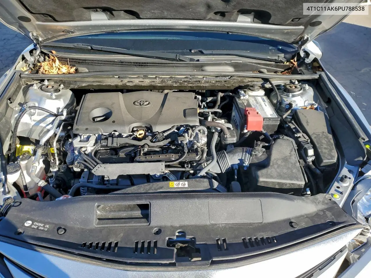4T1C11AK6PU788538 2023 Toyota Camry Le