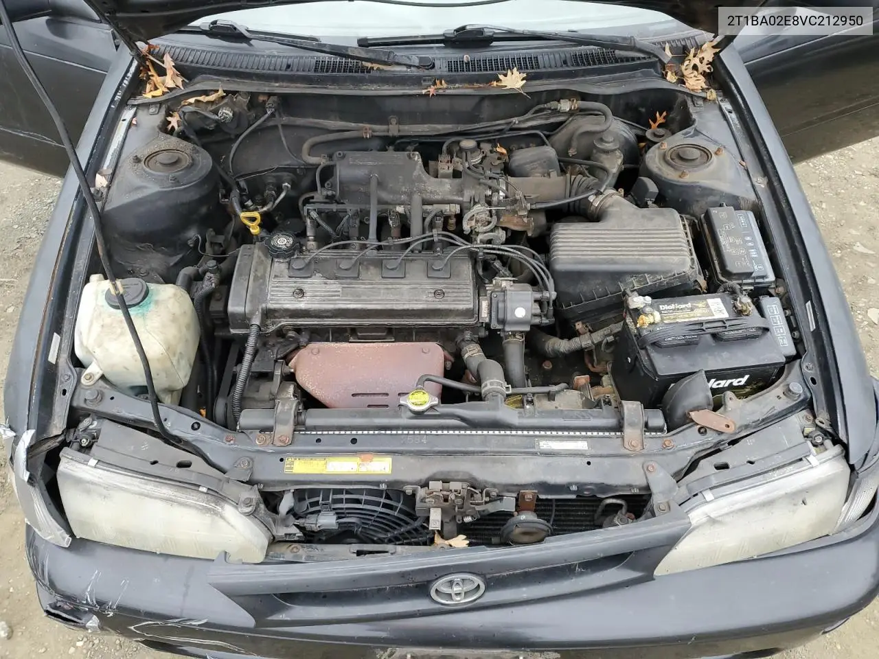 2T1BA02E8VC212950 1997 Toyota Corolla Base