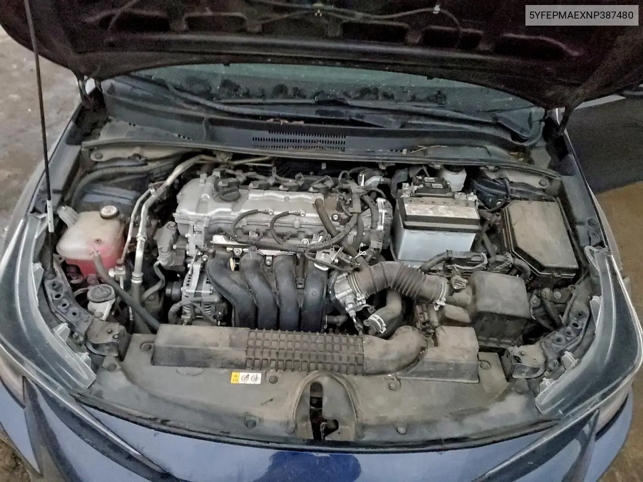 5YFEPMAEXNP387480 2022 Toyota Corolla Le