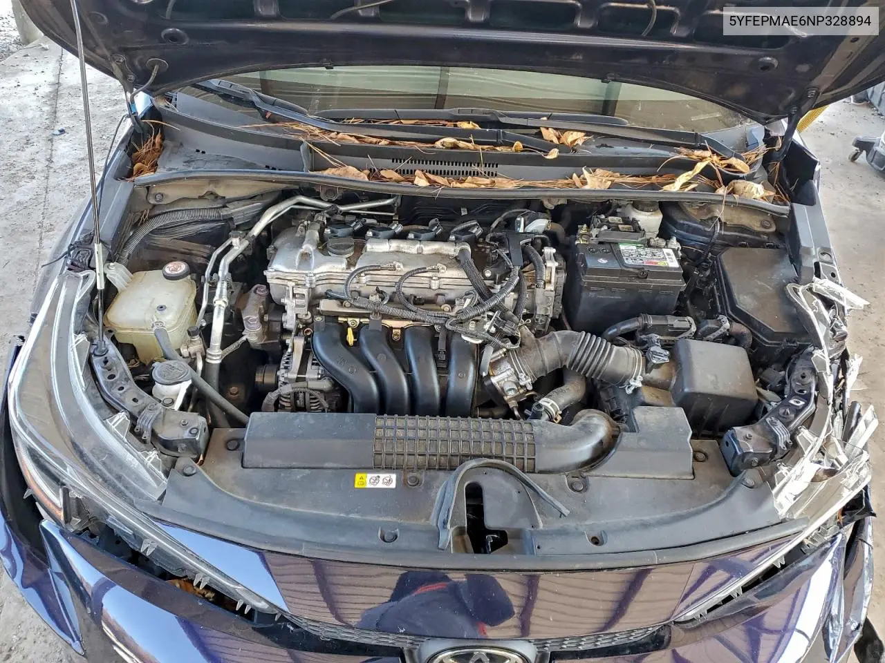 Corolla