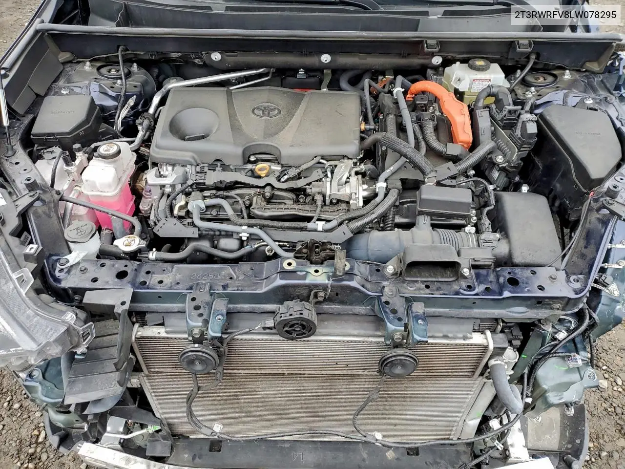 2T3RWRFV8LW078295 2020 Toyota Rav4 Xle