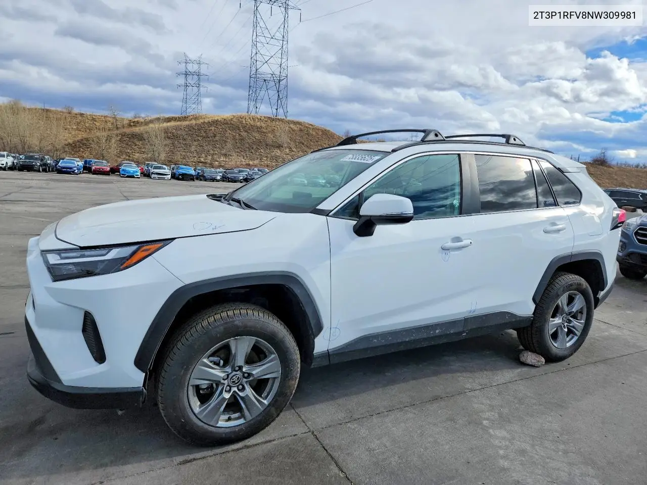 2T3P1RFV8NW309981 2022 Toyota Rav4 Xle