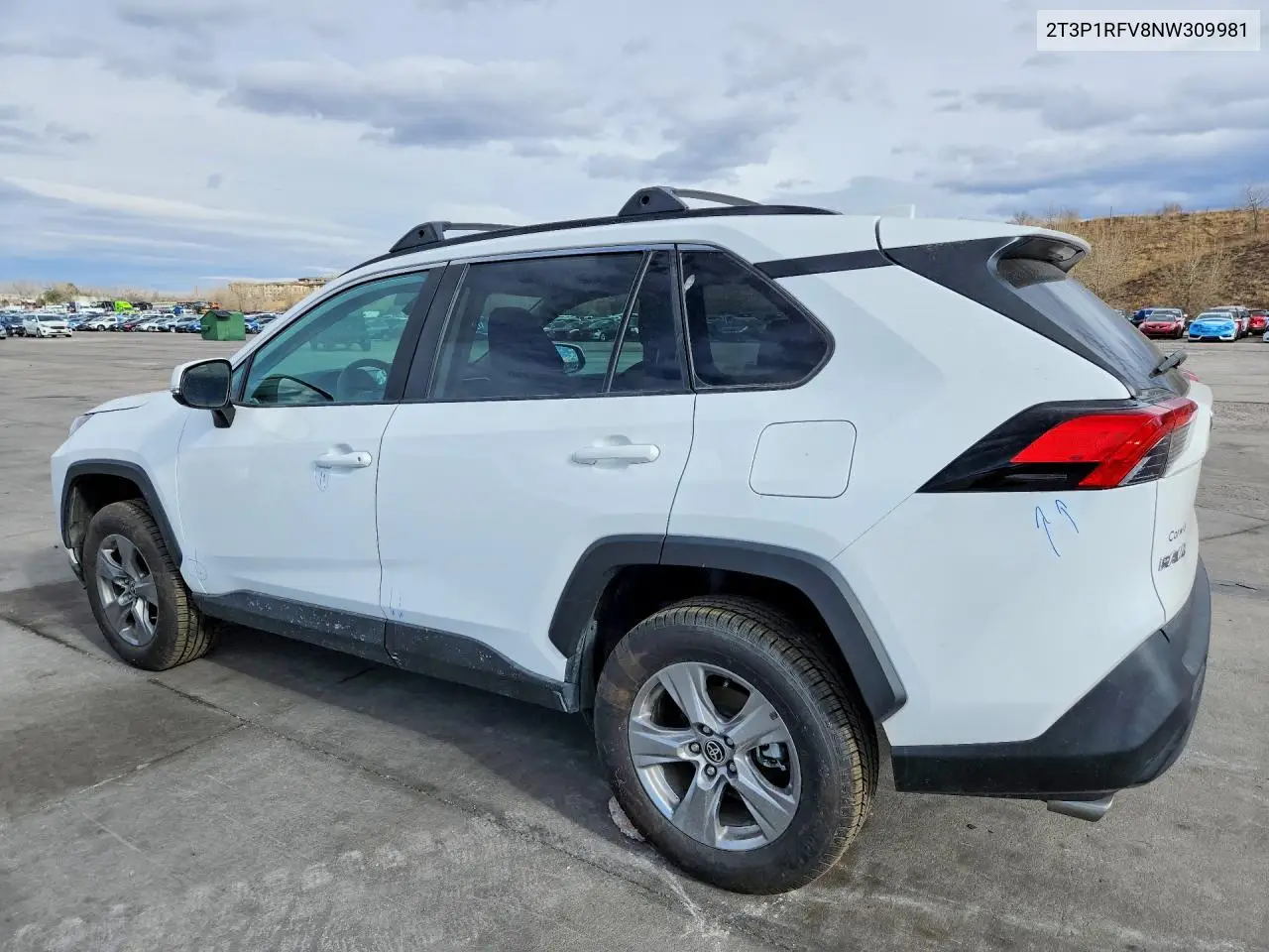 2T3P1RFV8NW309981 2022 Toyota Rav4 Xle