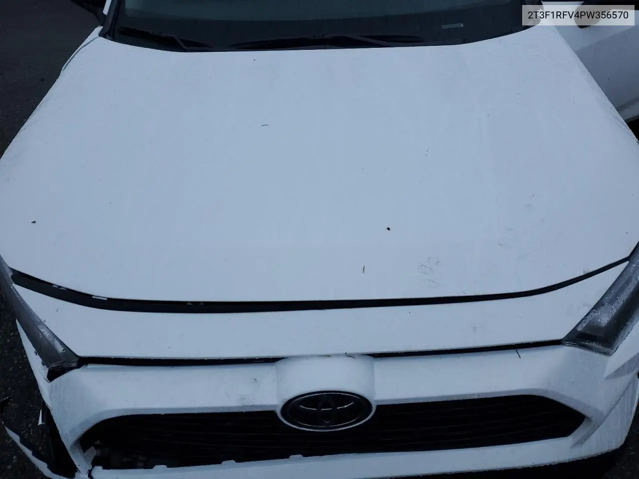 2T3F1RFV4PW356570 2023 Toyota Rav4 Le