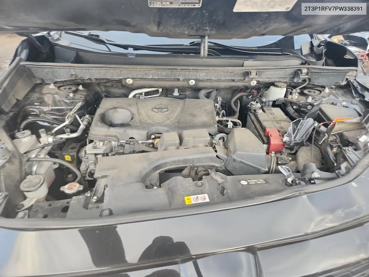 2T3P1RFV7PW338391 2023 Toyota Rav4 Xle