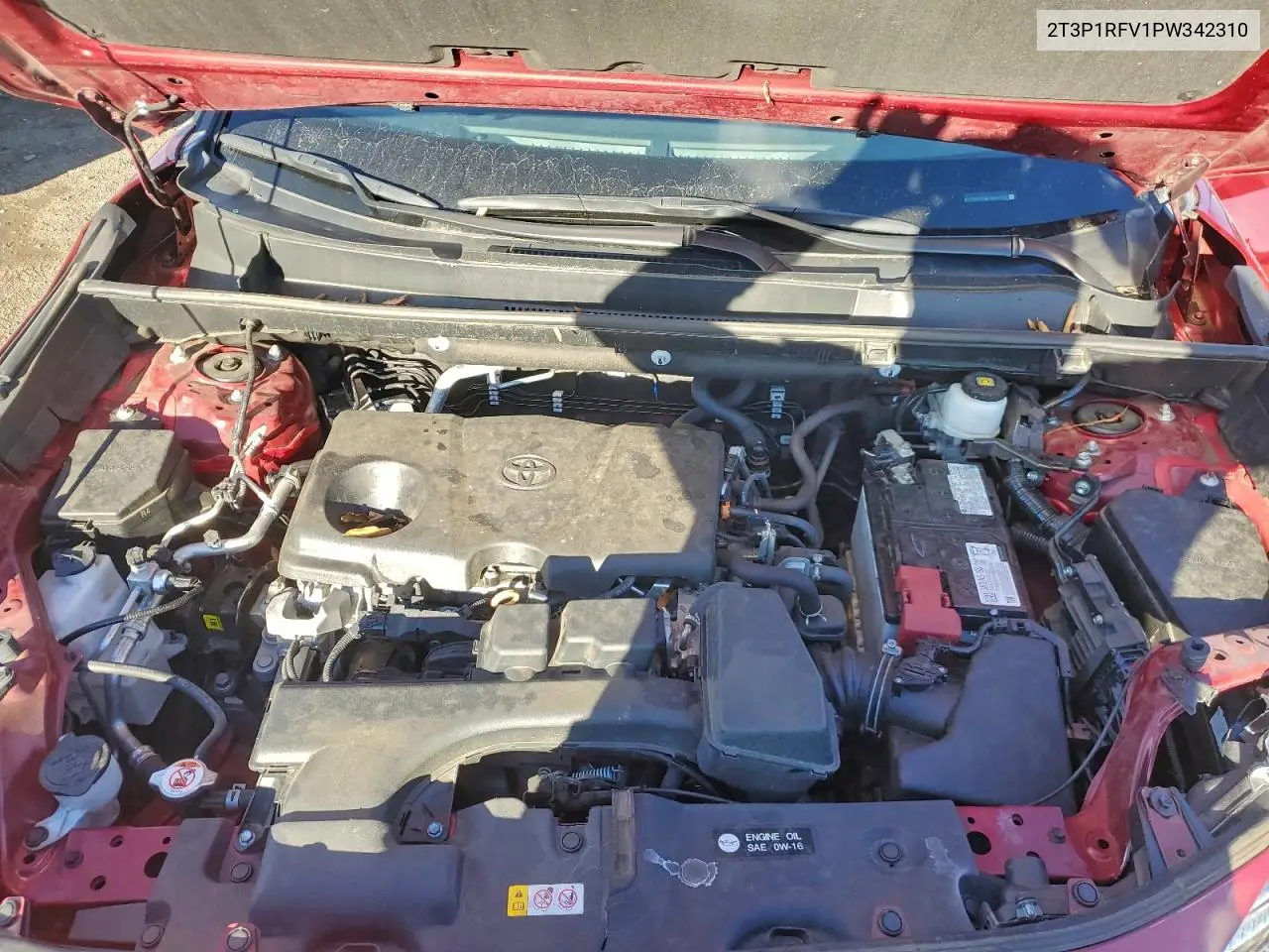 2T3P1RFV1PW342310 2023 Toyota Rav4 Xle