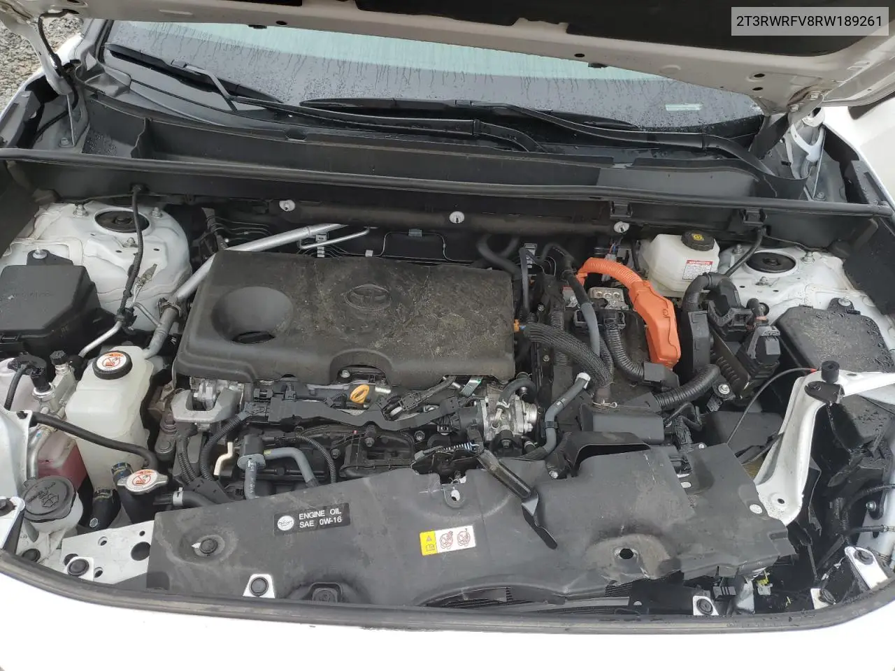 2T3RWRFV8RW189261 2024 Toyota Rav4 Xle
