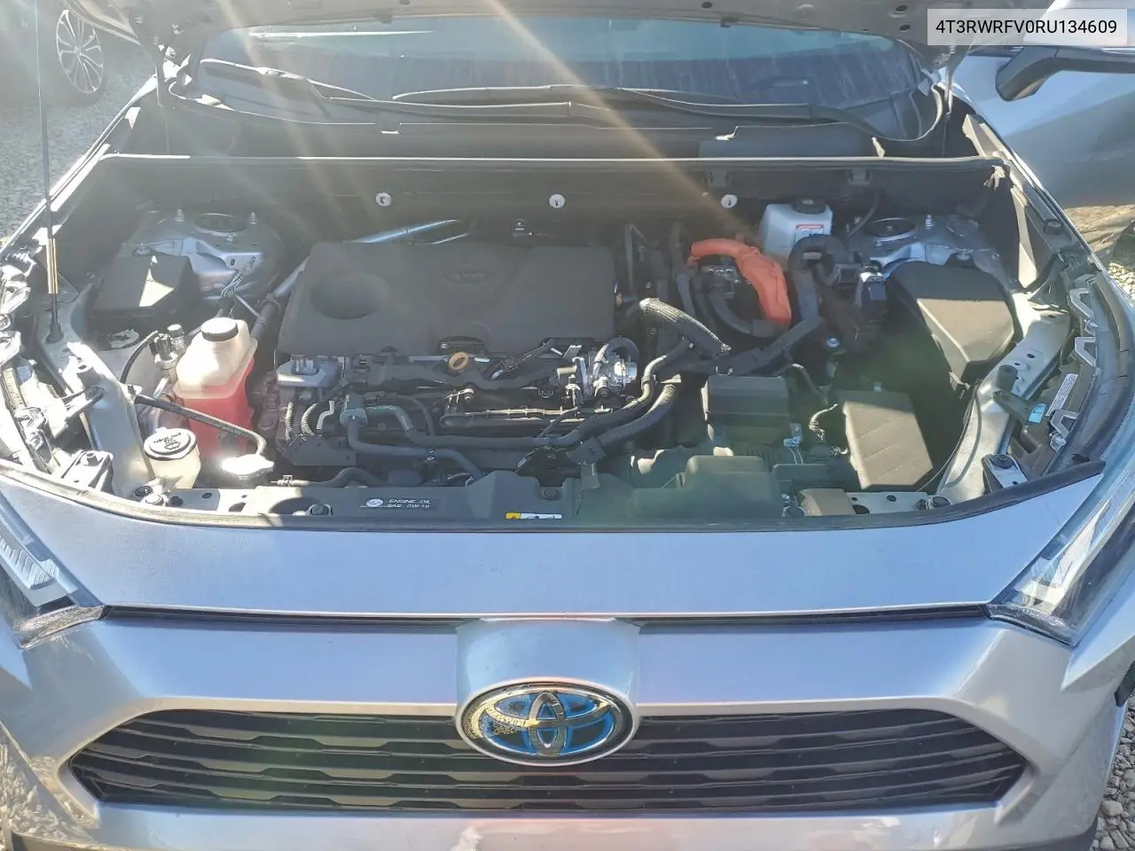 4T3RWRFV0RU134609 2024 Toyota Rav4 Xle