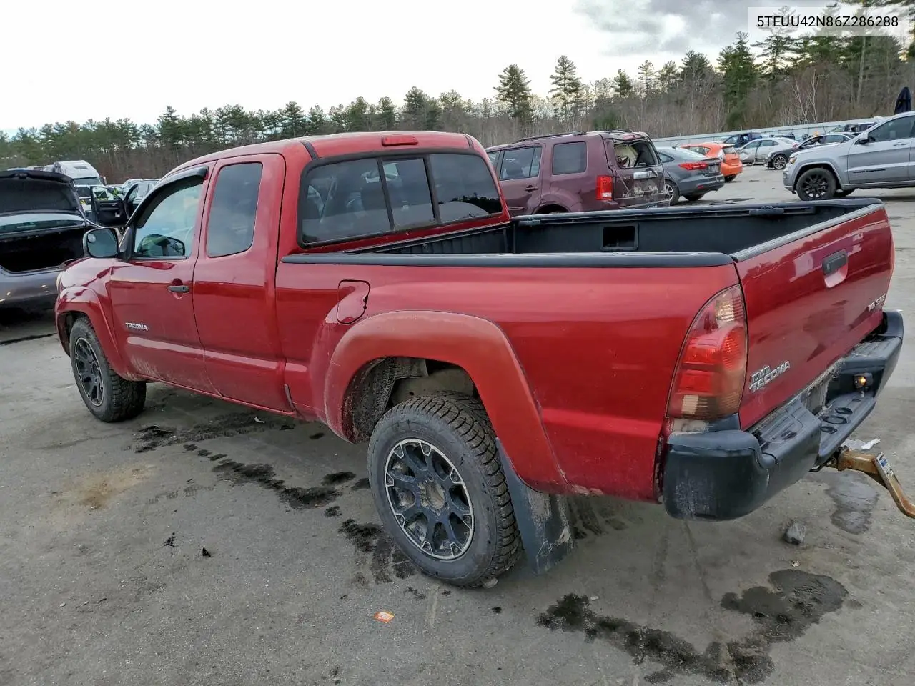 5TEUU42N86Z286288 2006 Toyota Tacoma Access Cab