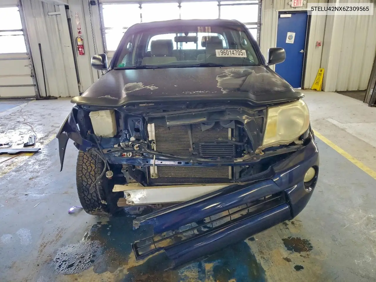 5TELU42NX6Z309565 2006 Toyota Tacoma Double Cab