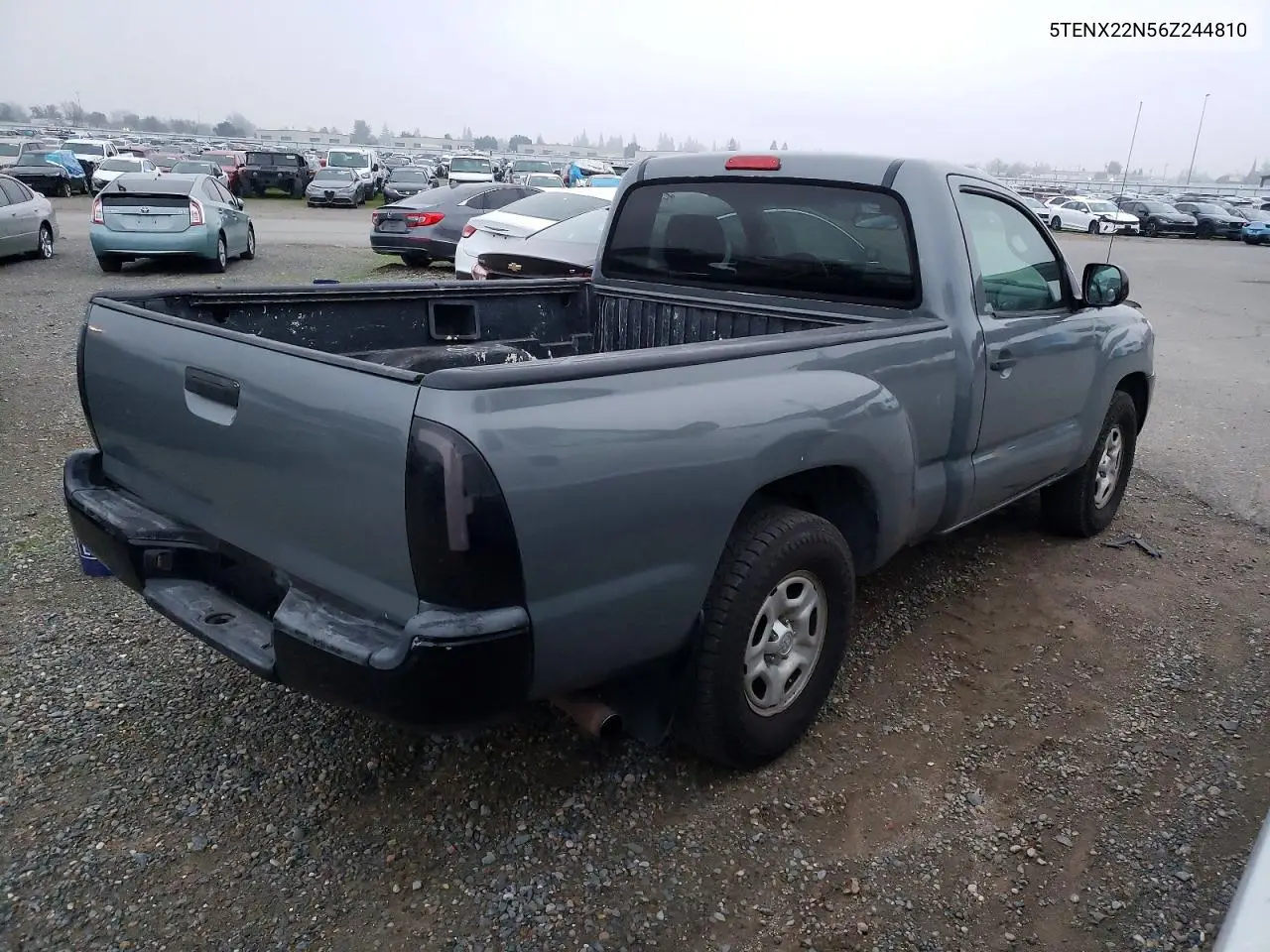 5TENX22N56Z244810 2006 Toyota Tacoma