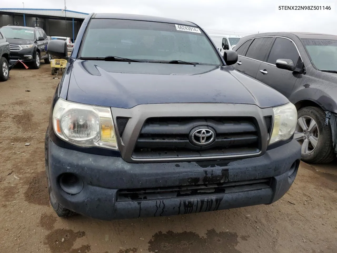 2008 Toyota Tacoma VIN: 5TENX22N98Z501146 Lot: 66243914