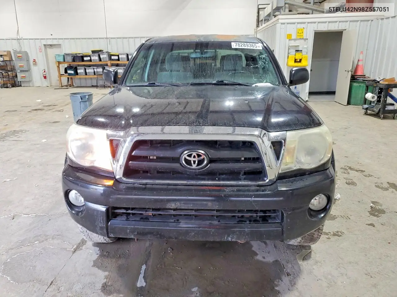 5TELU42N98Z557051 2008 Toyota Tacoma Double Cab
