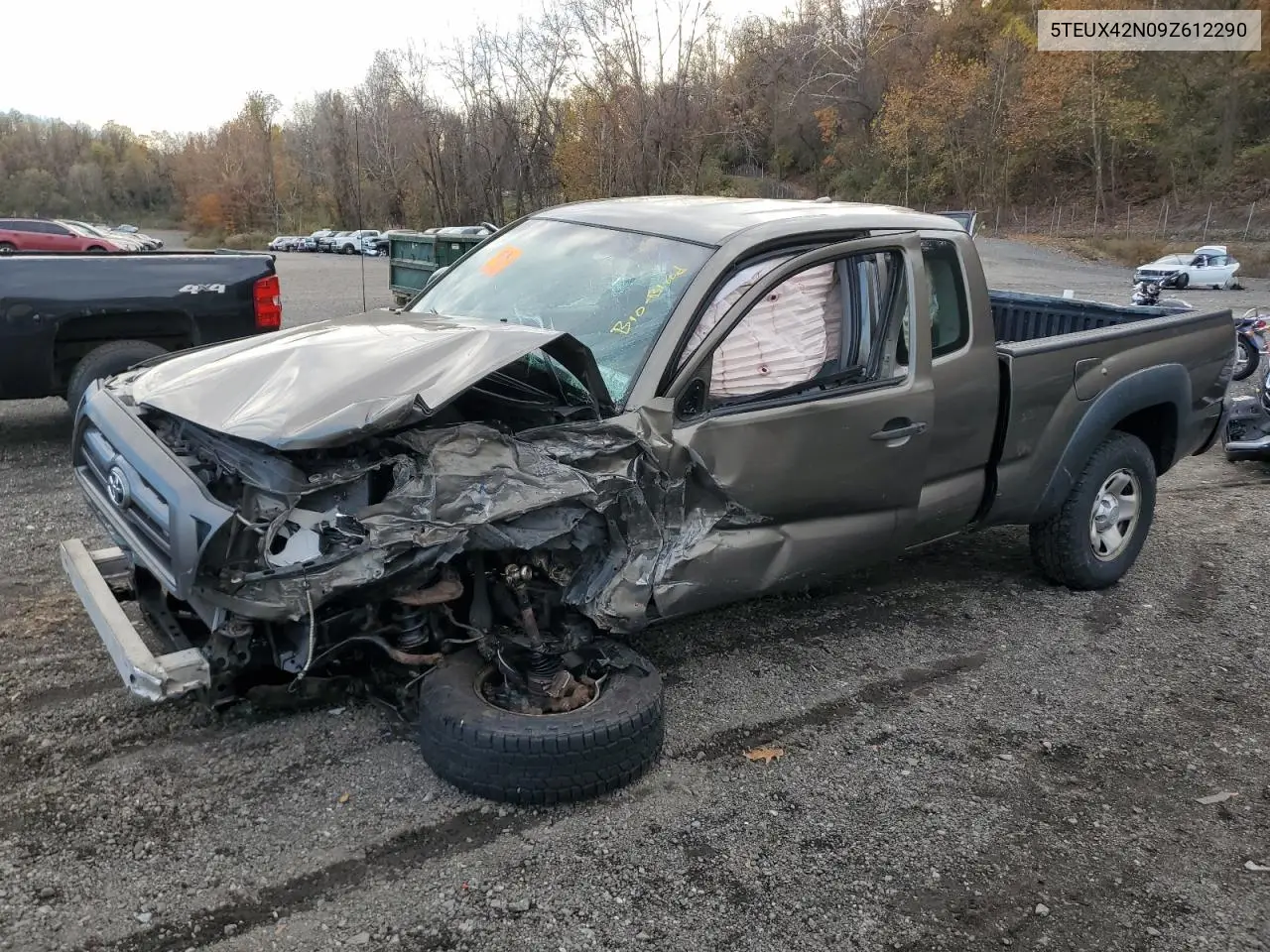 5TEUX42N09Z612290 2009 Toyota Tacoma Access Cab