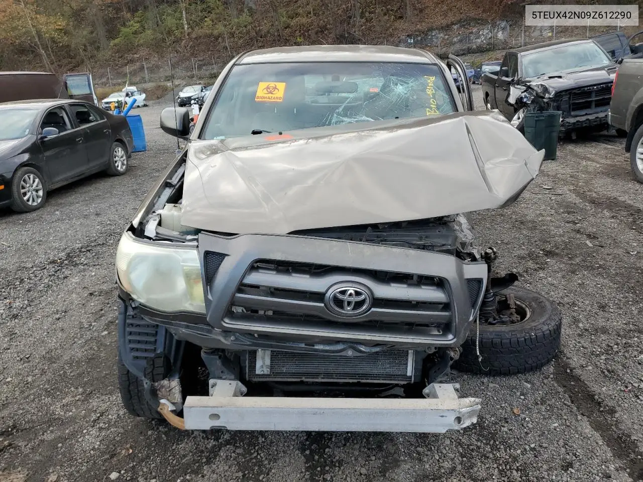 5TEUX42N09Z612290 2009 Toyota Tacoma Access Cab