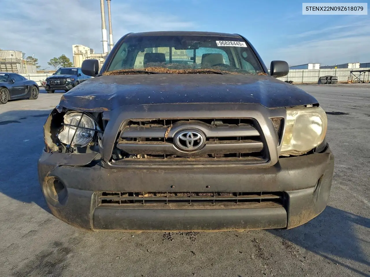5TENX22N09Z618079 2009 Toyota Tacoma