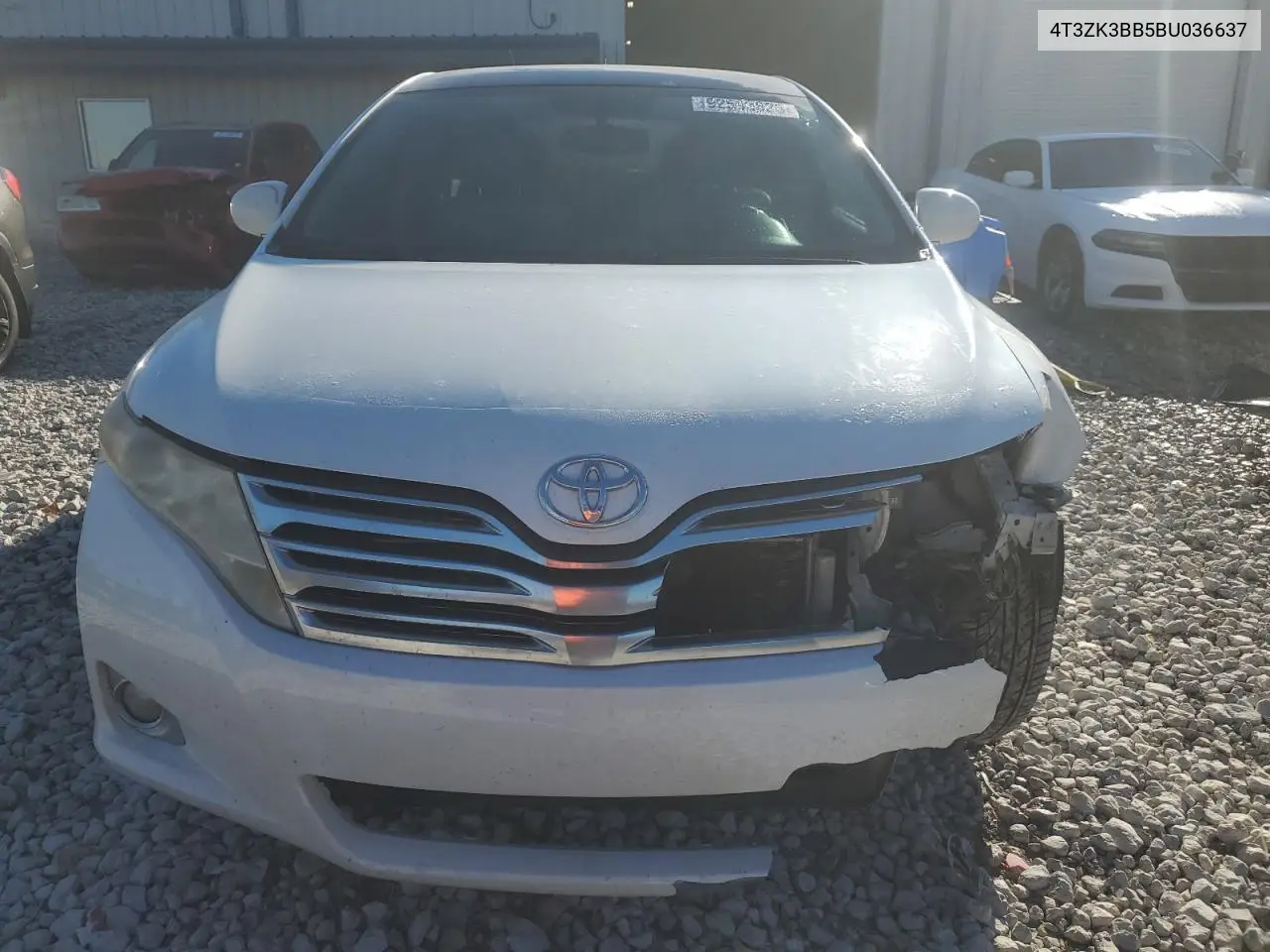 4T3ZK3BB5BU036637 2011 Toyota Venza