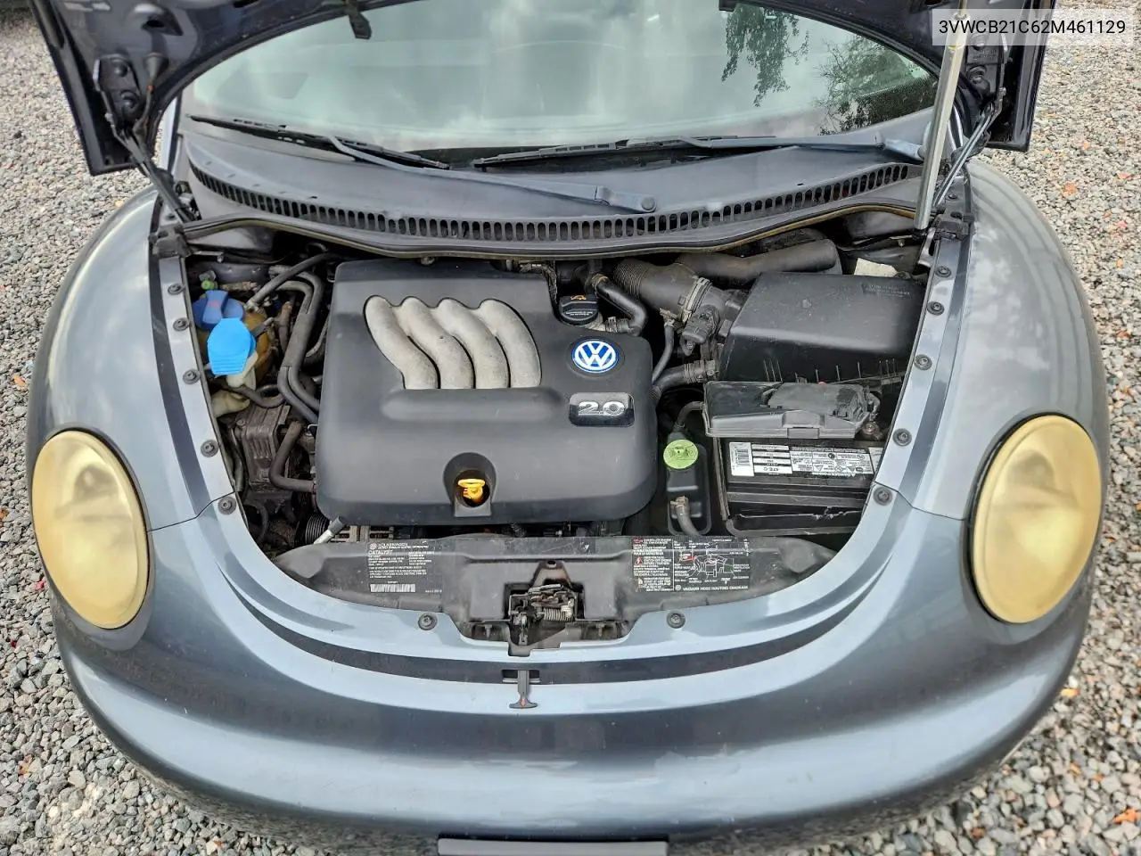 3VWCB21C62M461129 2004 Volkswagen New Beetle Gls