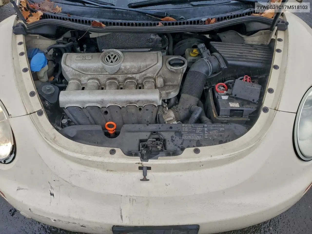 3VWEG31C17M518103 2007 Volkswagen New Beetle 2.5L