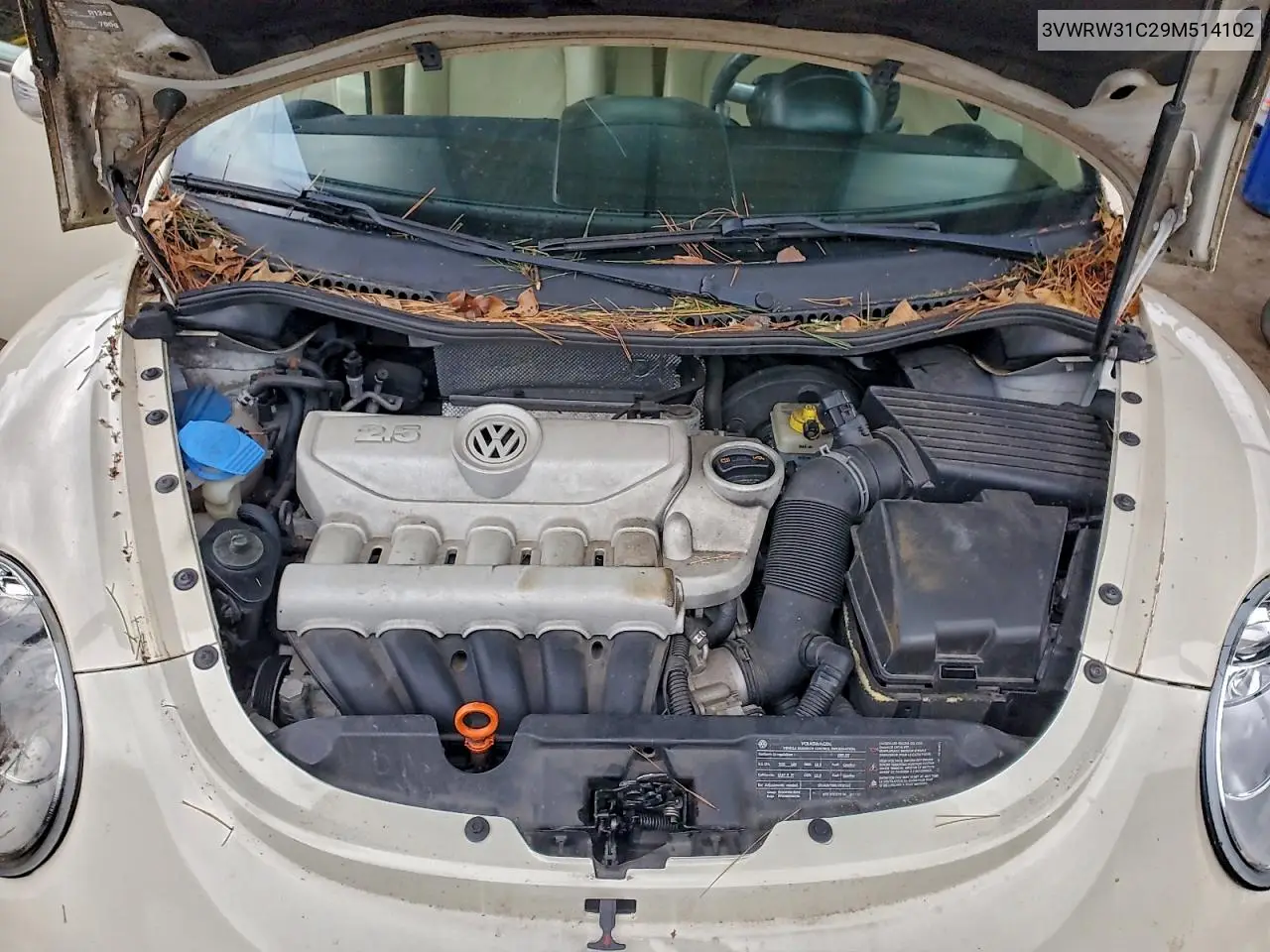 3VWRW31C29M514102 2009 Volkswagen New Beetle S
