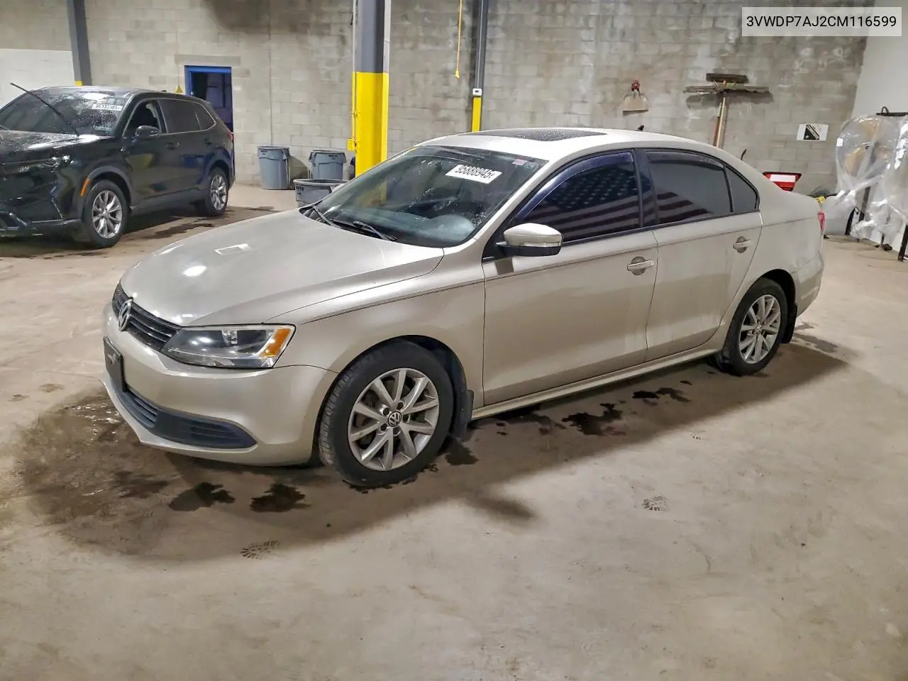 3VWDP7AJ2CM116599 2012 Volkswagen Jetta Se
