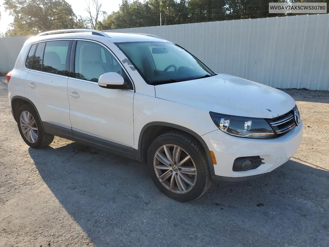 WVGAV7AX5CW530780 2012 Volkswagen Tiguan S