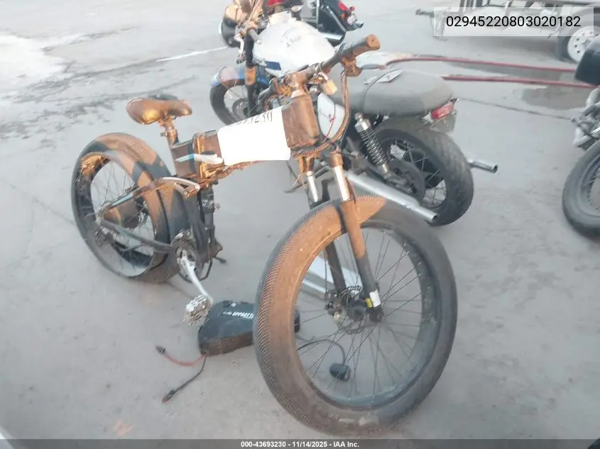 02945220803020182 2022 Other E-Bike