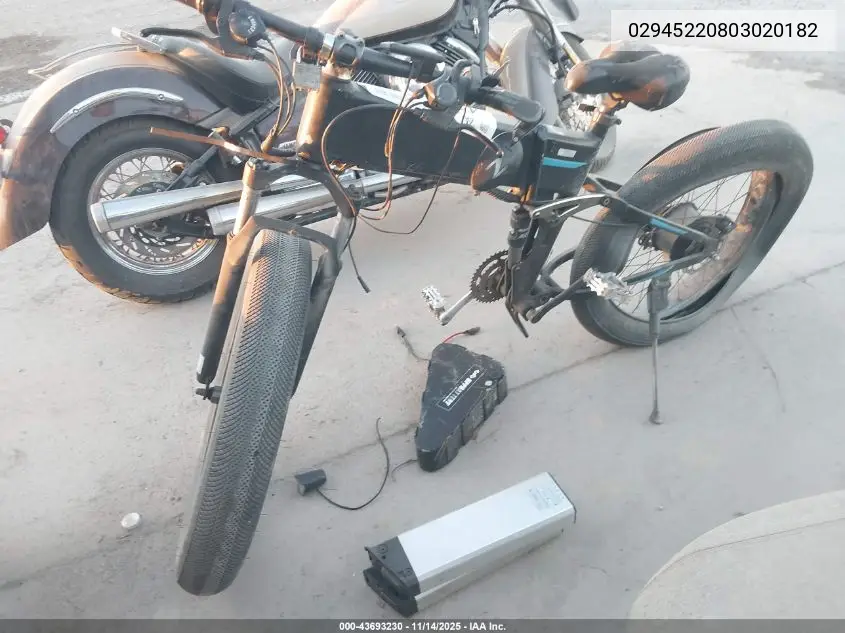 02945220803020182 2022 Other E-Bike
