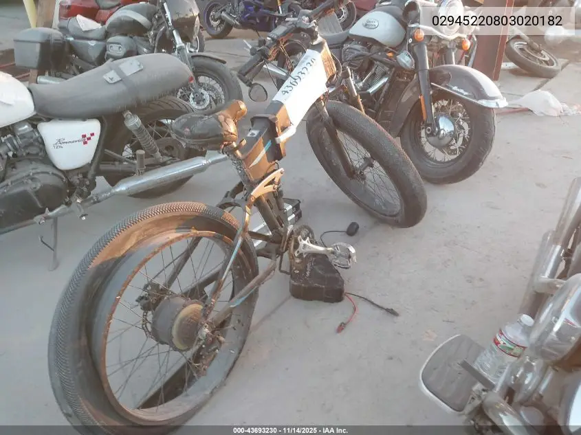 02945220803020182 2022 Other E-Bike