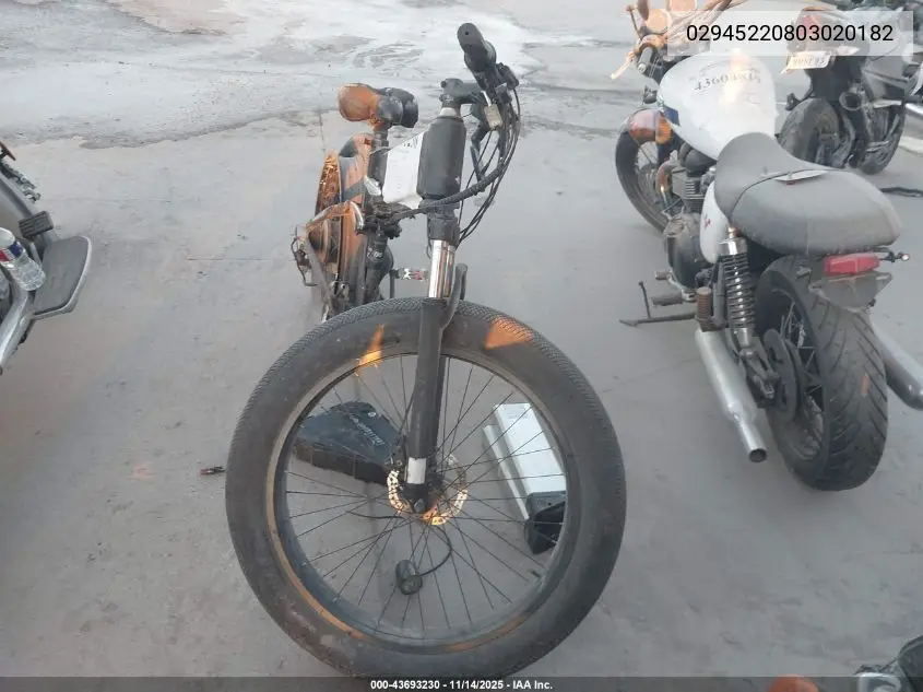 02945220803020182 2022 Other E-Bike