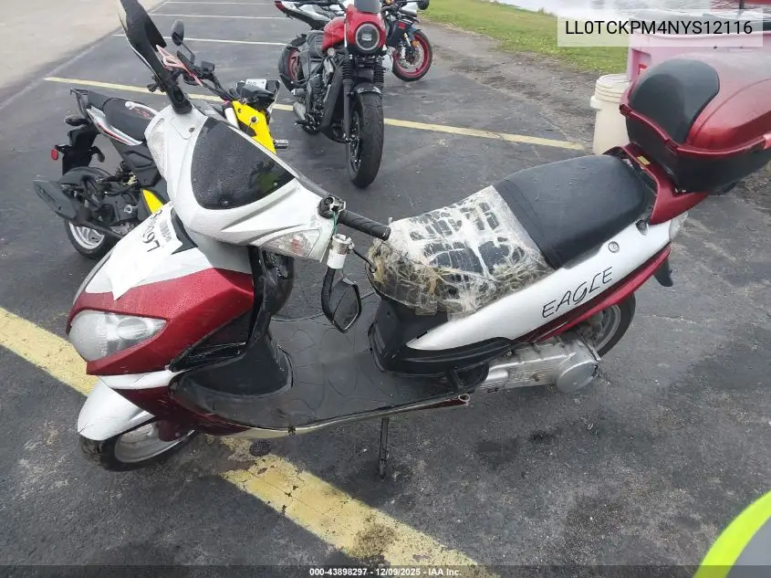 LL0TCKPM4NYS12116 2022 Yngf 150Cc Scooter