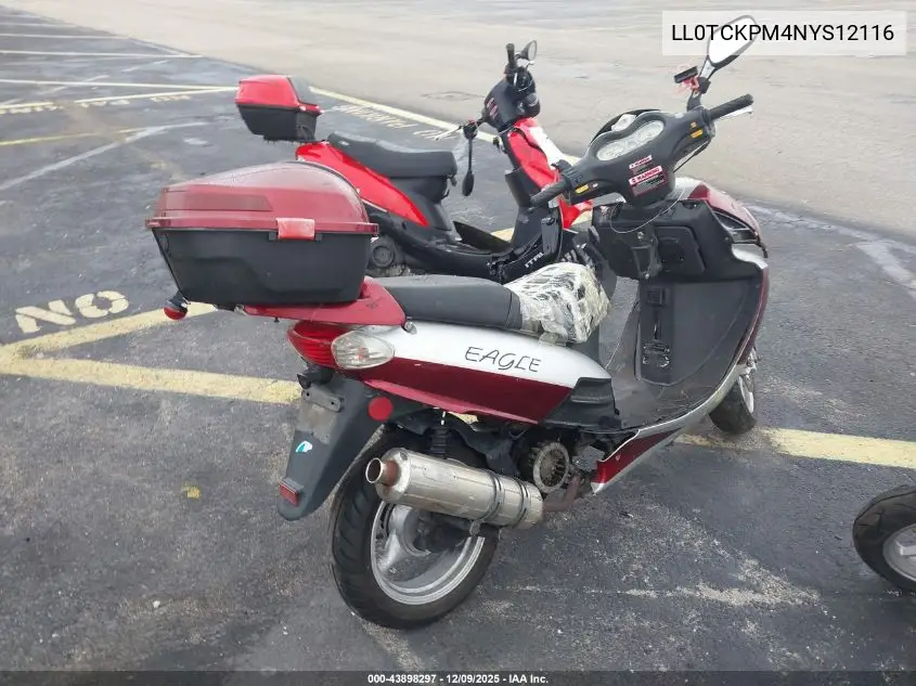 LL0TCKPM4NYS12116 2022 Yngf 150Cc Scooter